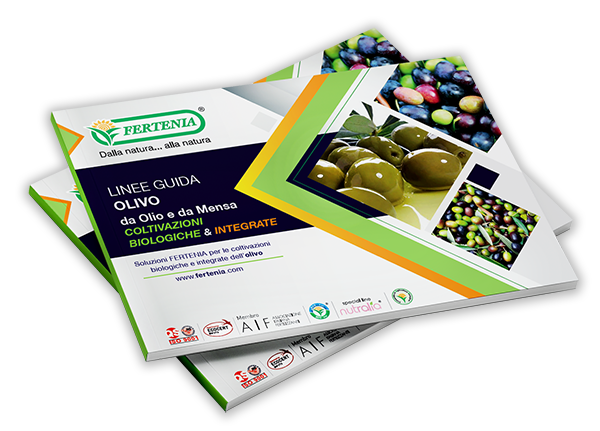 protocollo coltivazione olivo biologico e integrato