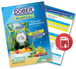 DEPLIANT DOBER SEAWEED