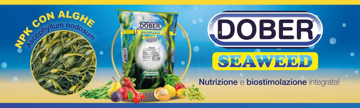 DOBER SEAWEED: fertilizzanti NPK con alghe | Fertenia