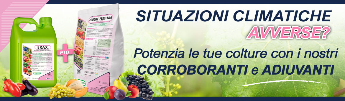  Potenzia le tue colture con i nostri Corroboranti e Adiuvanti