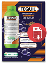 TEQUIL
