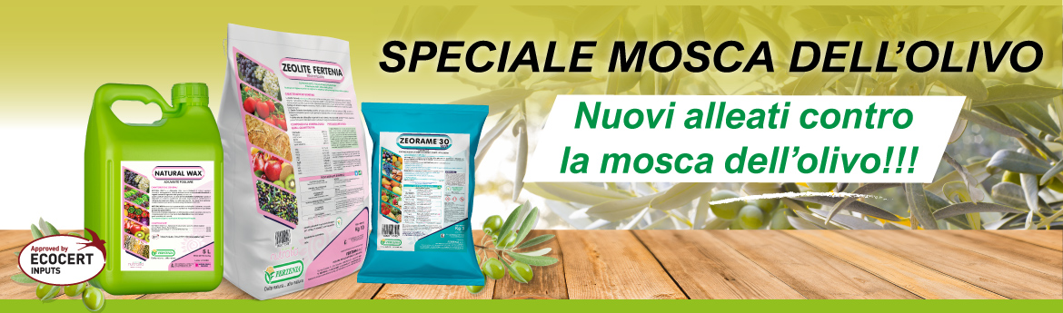 SPECIALE MOSCA DELL’OLIVO