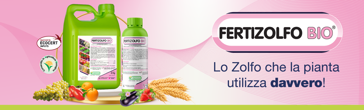 ZOLFO (S35) FLOWABLE