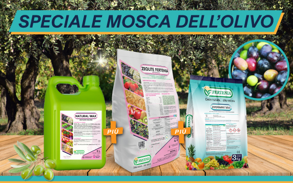 SPECIALE MOSCA DELL’OLIVO