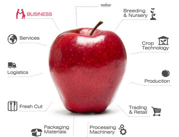 macfrut 03