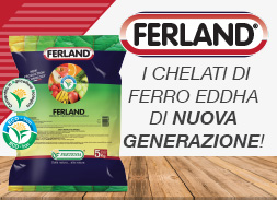 Ferland