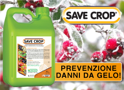 Save Crop