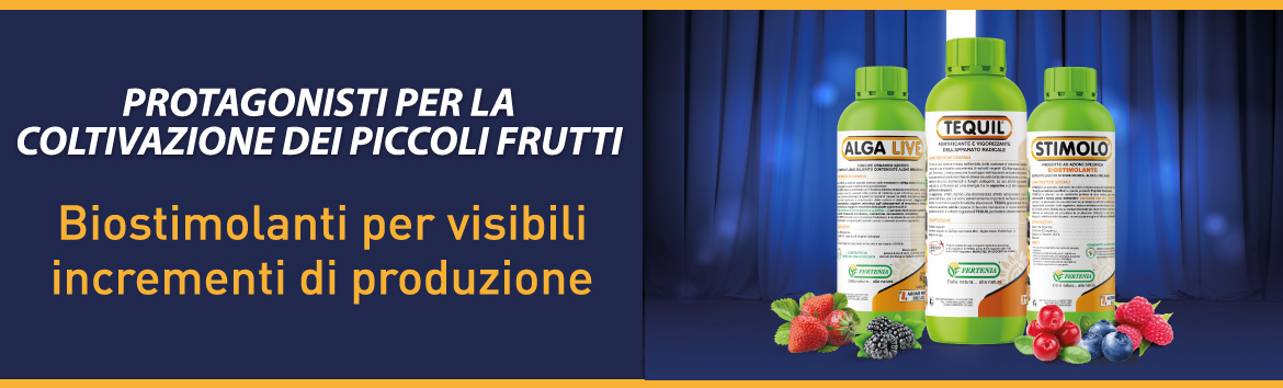 Coltivazione piccoli frutti con i biostimolanti Fertenia