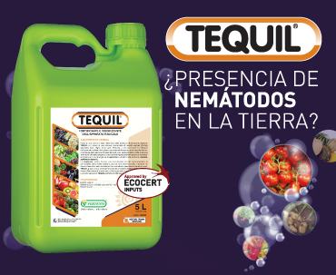 Tequil de Fertenia