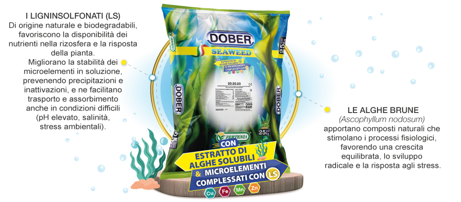 vantaggi DOBER SEAWEED3